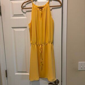 NWT WHBM Dress, Size 10